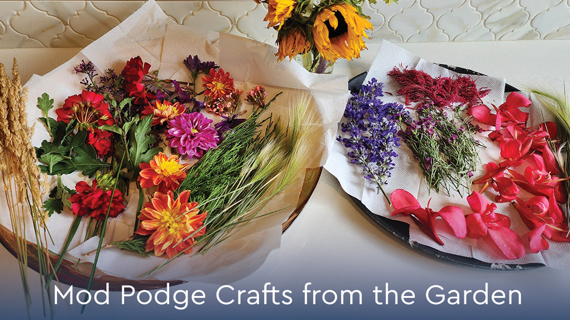 Mod Podge Crafts from the  Garden