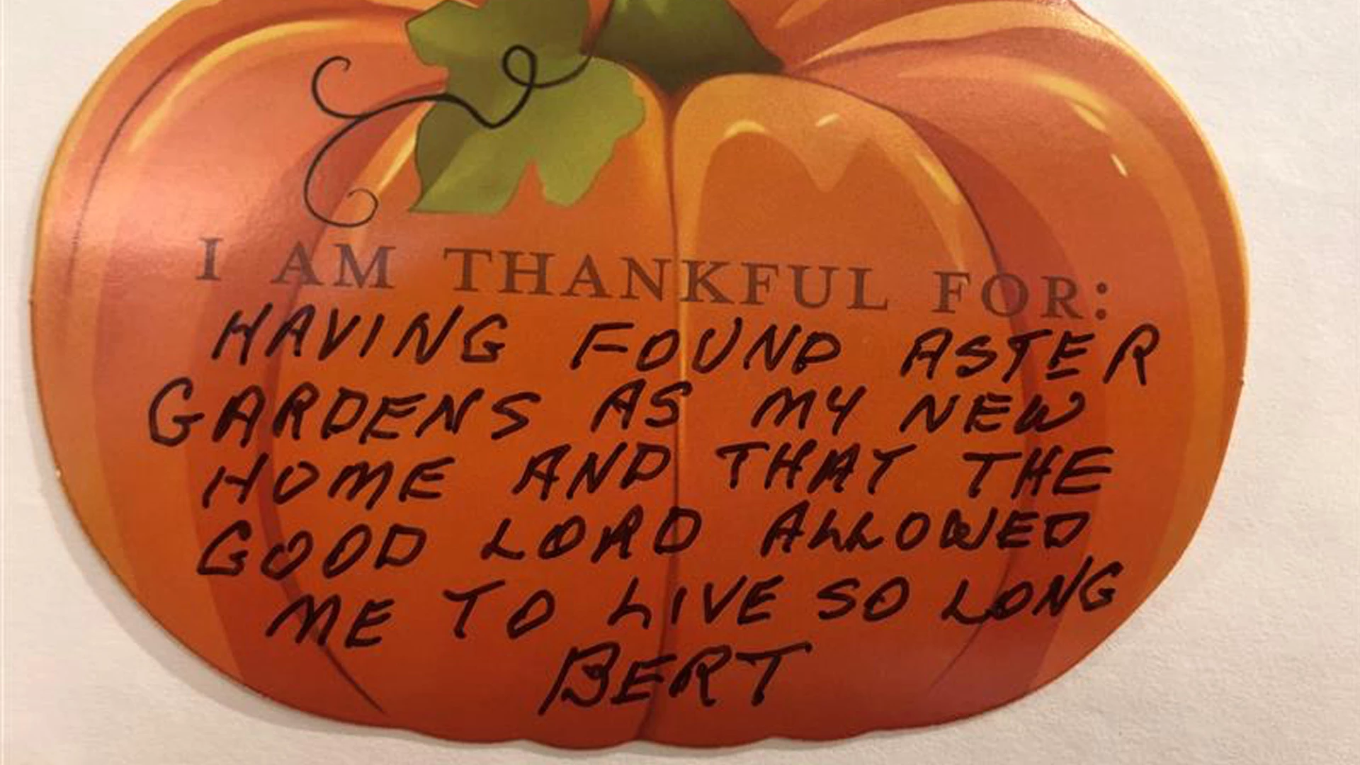 A pumpkin with a Thankful note on Thanksgiving Day