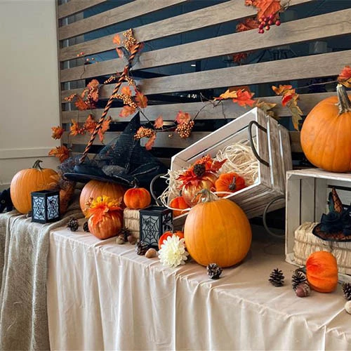 Halloween Decorations